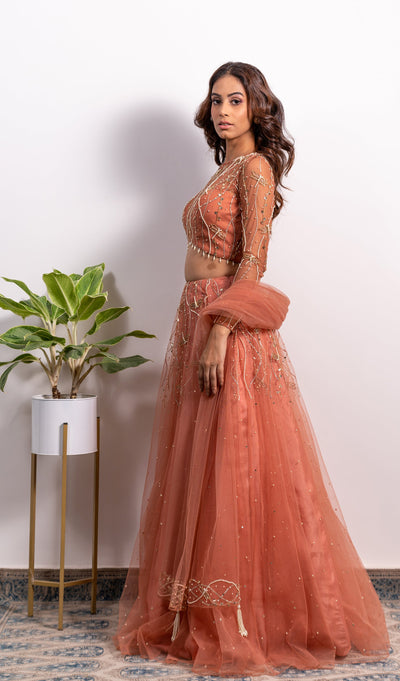 Ashi Khanna in V-Hem Embroidered Blouse With High Waist Lehenga And Dupatta